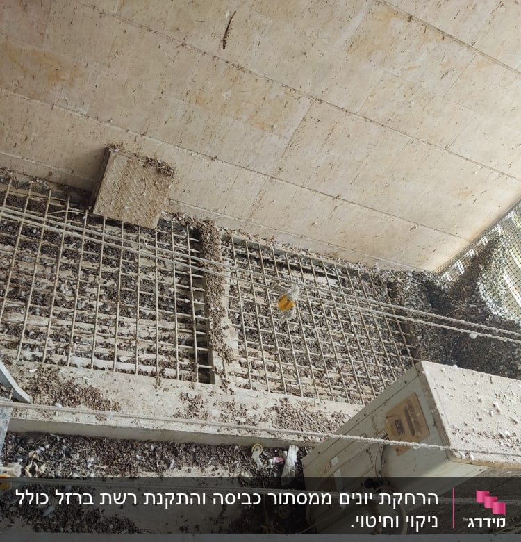 רשת מתכת מלוכלכת בלשלשת יונים, חוטים מתוחים